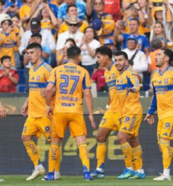 Soccer players in yellow uniforms celebrate on the field with cheering fans behind them in yellow and blue.