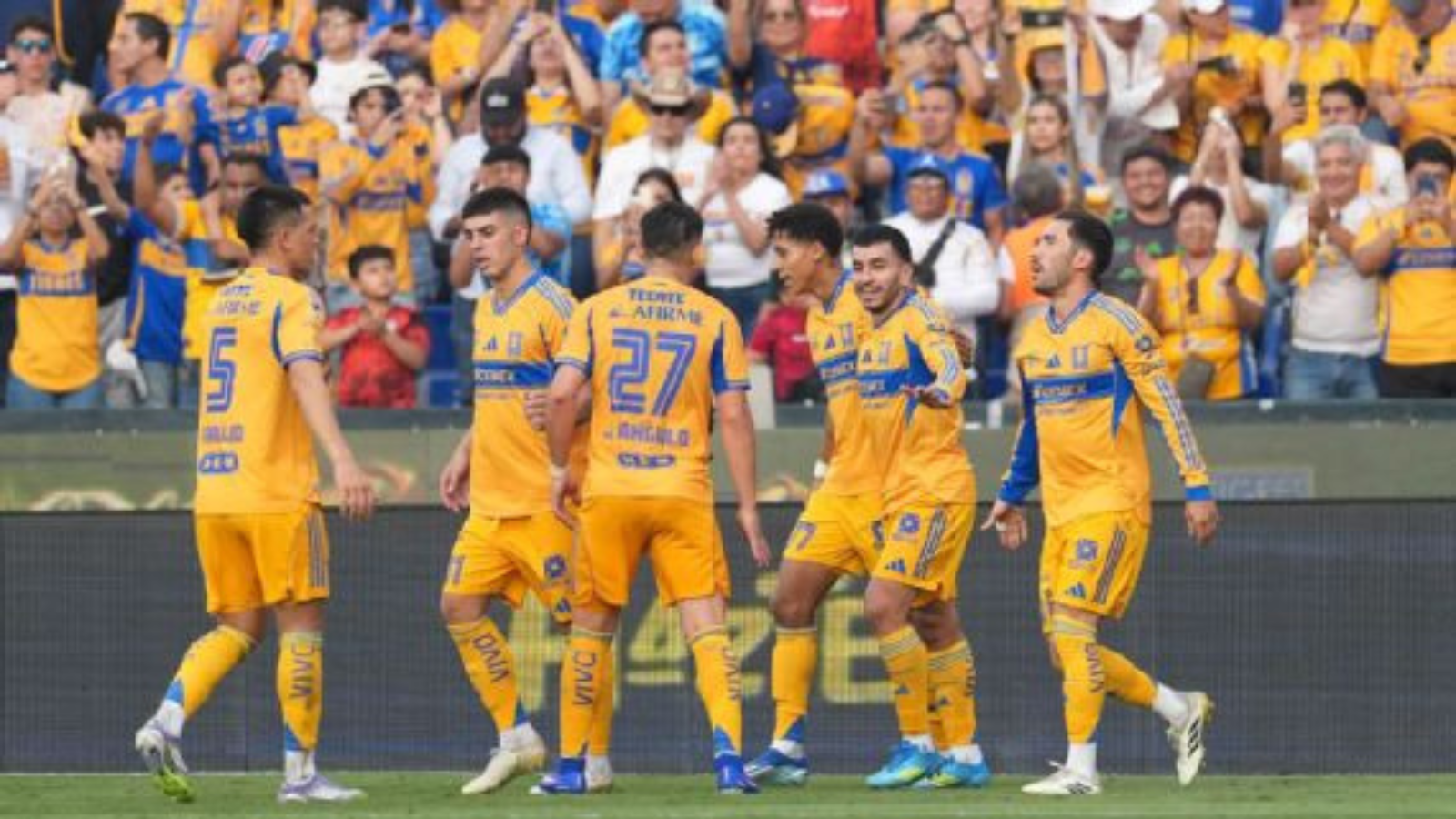 Soccer players in yellow uniforms celebrate on the field with cheering fans behind them in yellow and blue.