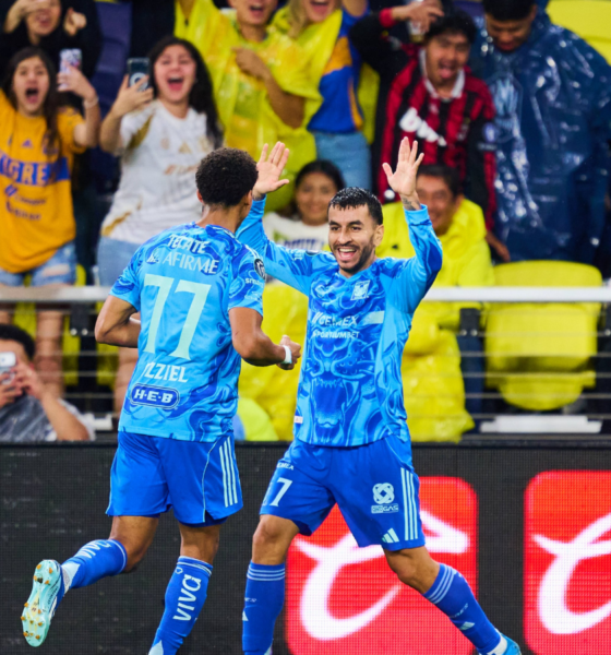 Two soccer players in blue jerseys celebrate a goal while high-fiving on the pitch as cheering fans look on from the stands behind a barrier.