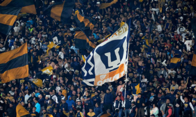 Large crowd of sports fans waving blue and gold flags at a stadium in celebration or support for a team.
