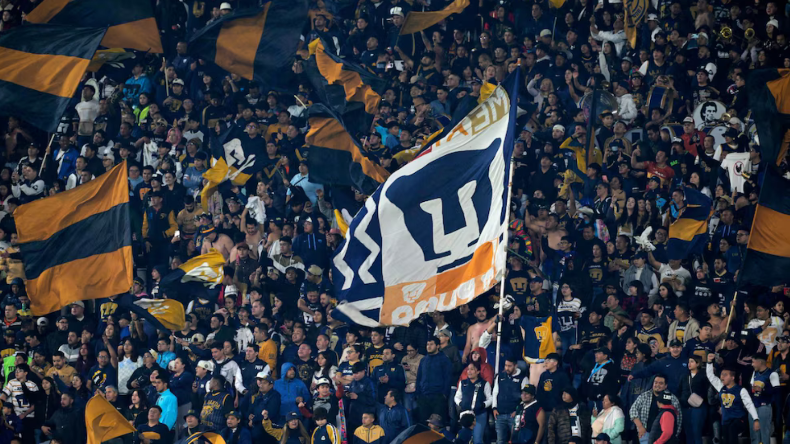 Large crowd of sports fans waving blue and gold flags at a stadium in celebration or support for a team.