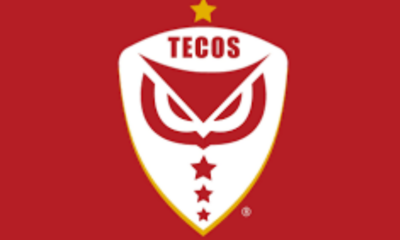 TECOS logo on a red background: white shield with a red stylized emblem and the word TECOS at the top, with small stars along the bottom edge.